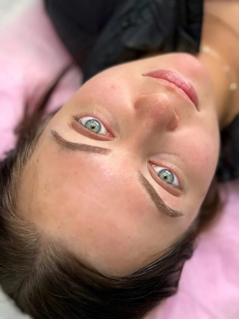 Healed ombré powder brows — close overhead view